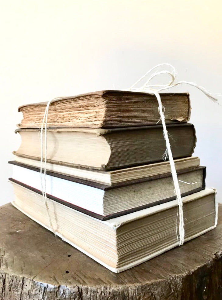 Beige Book Bundle