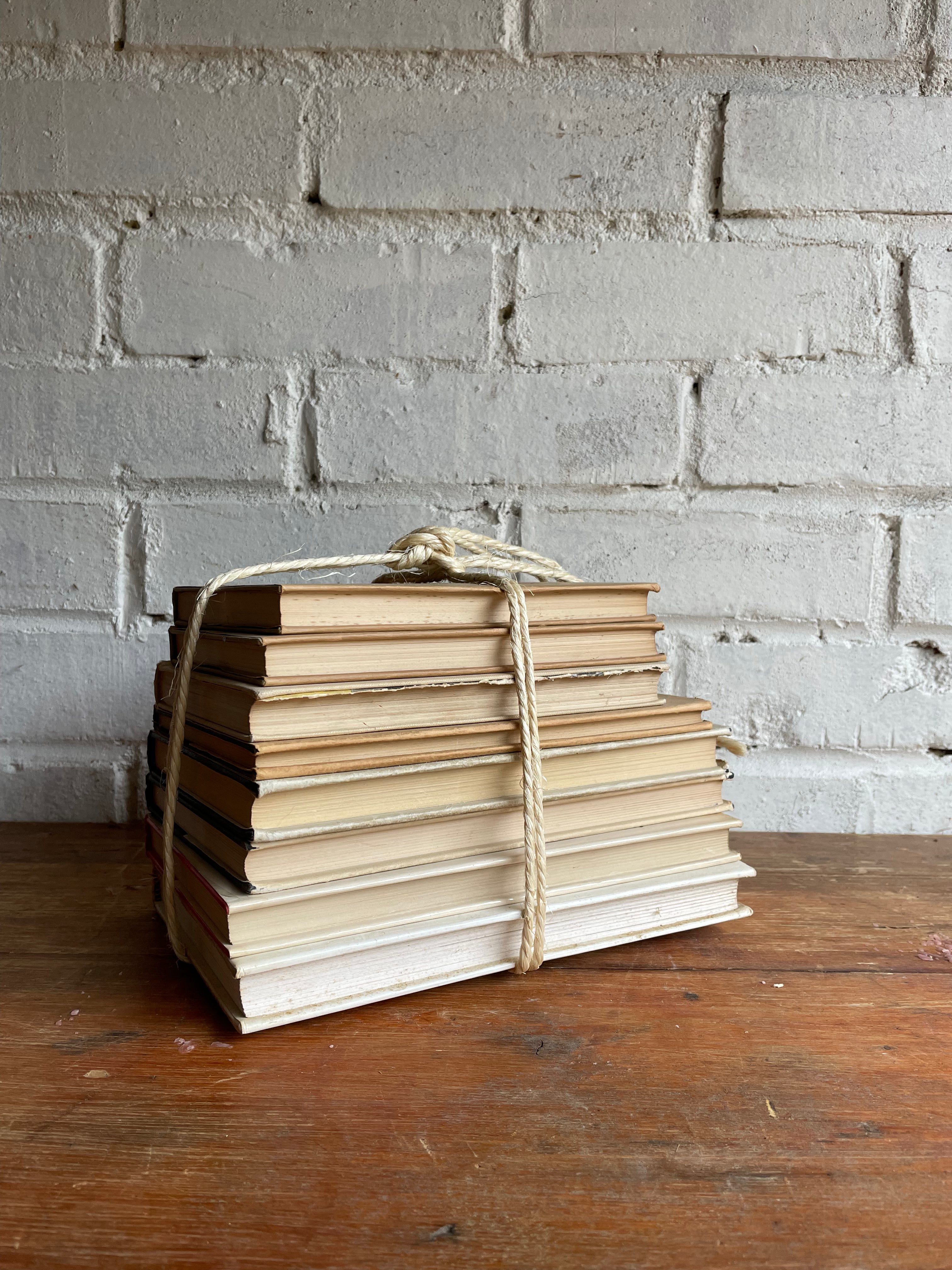 Beige Book Bundle