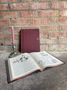 1899 “Punch” Annual Vol 116