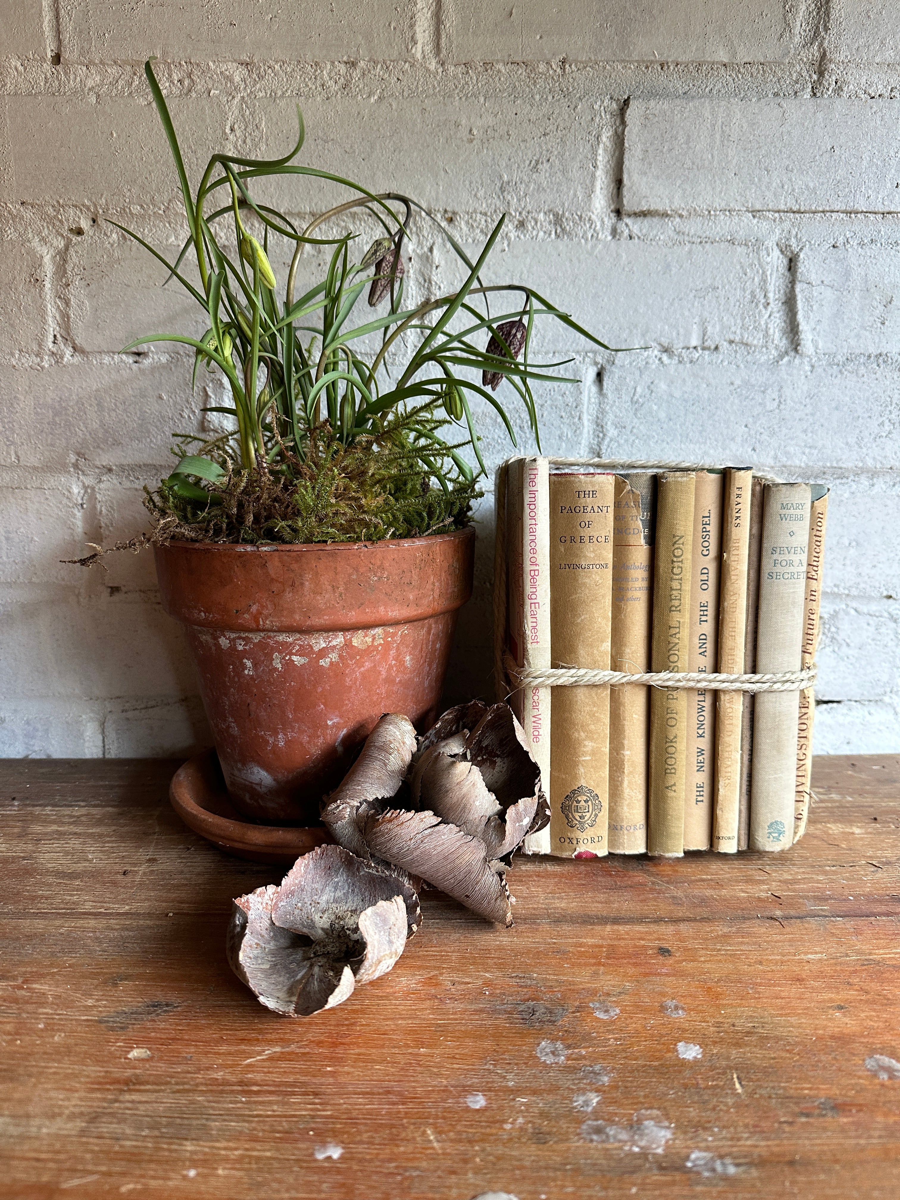 Beige Book Bundle