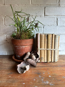 Beige Book Bundle