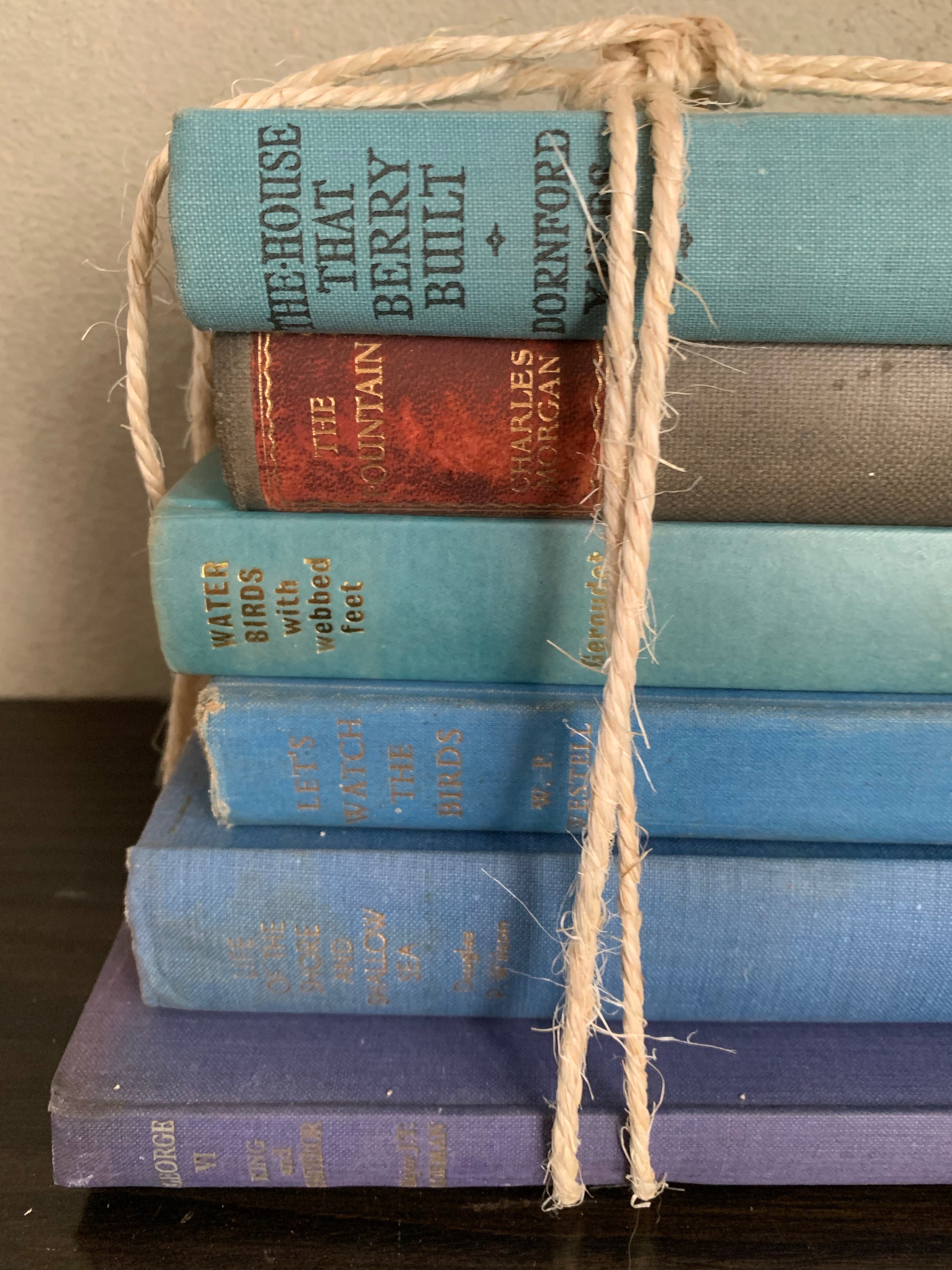 Blue Hues Book Bundle