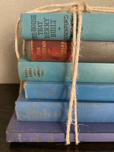 Blue Hues Book Bundle