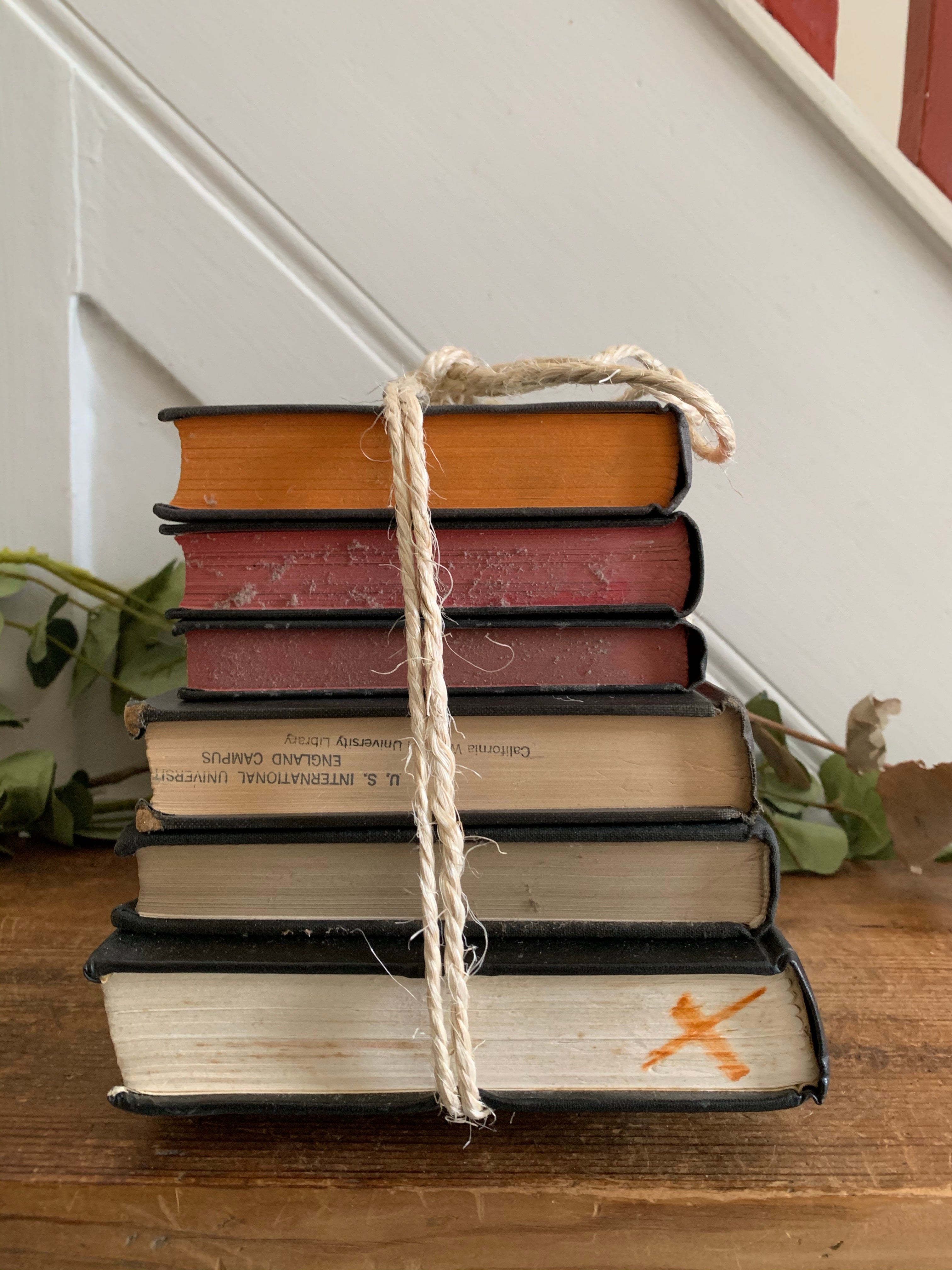 Black Book Bundle 2