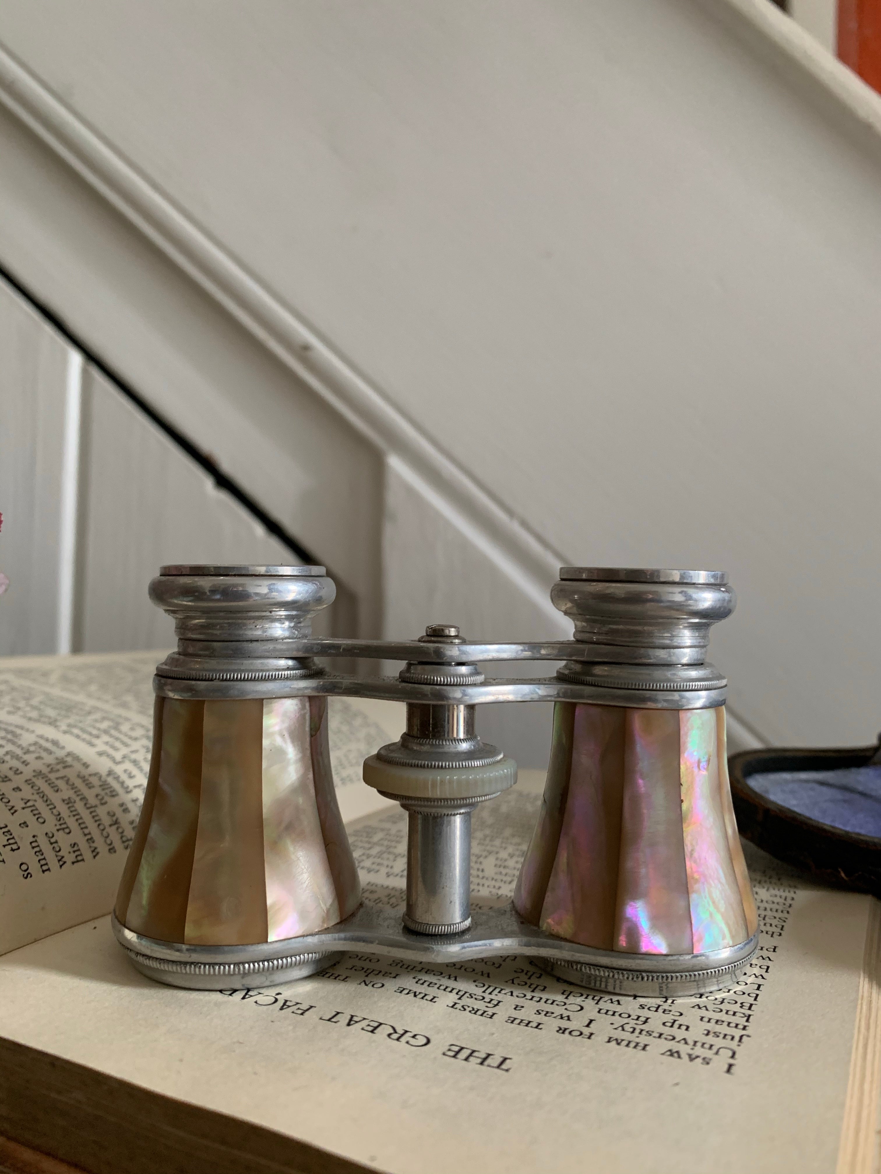 Mother of Pearl Antique Opera Glasses with Leather Case