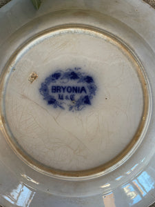 French Transferware Plate - Bryonia