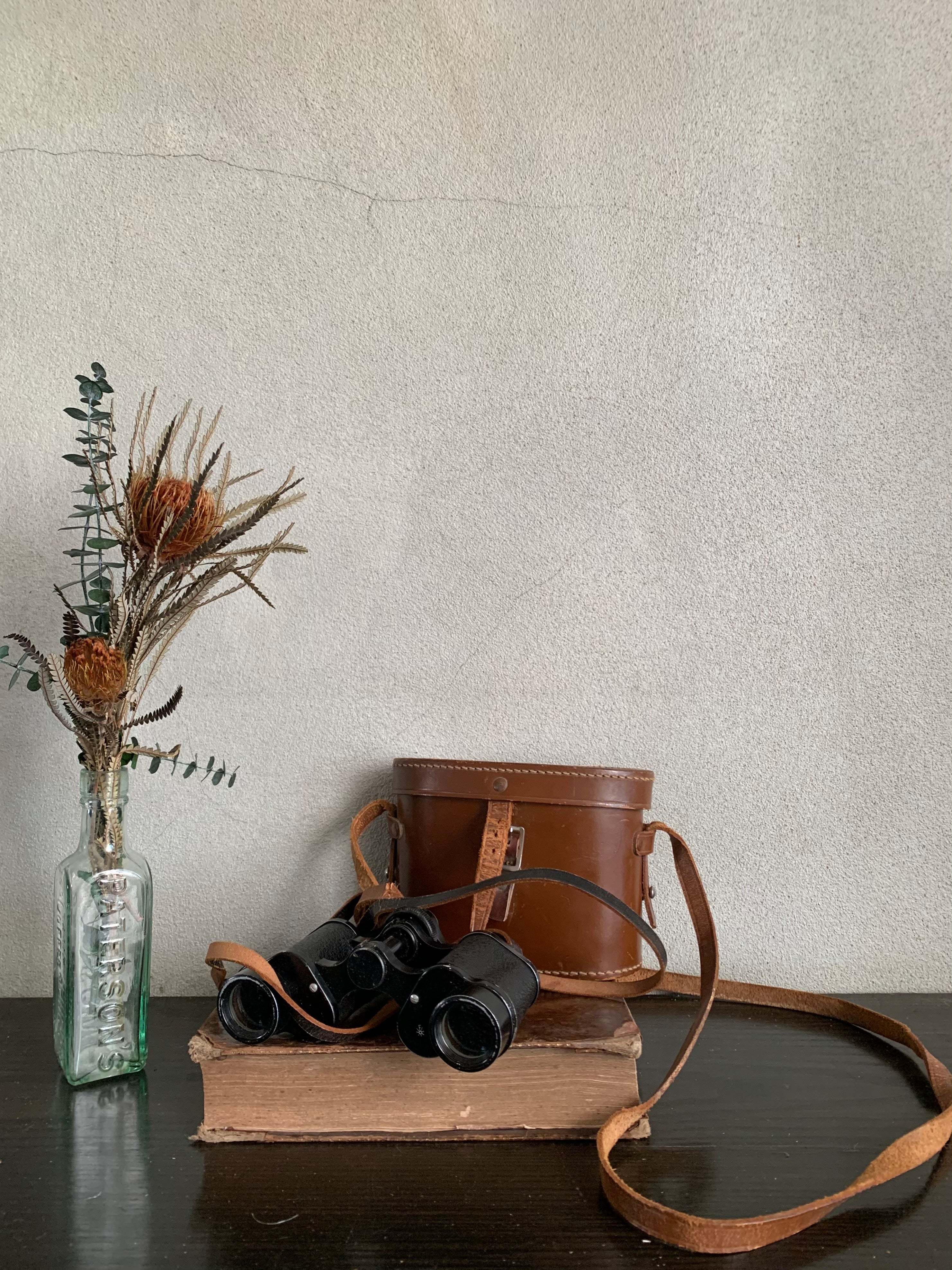 Vintage binoculars with original box