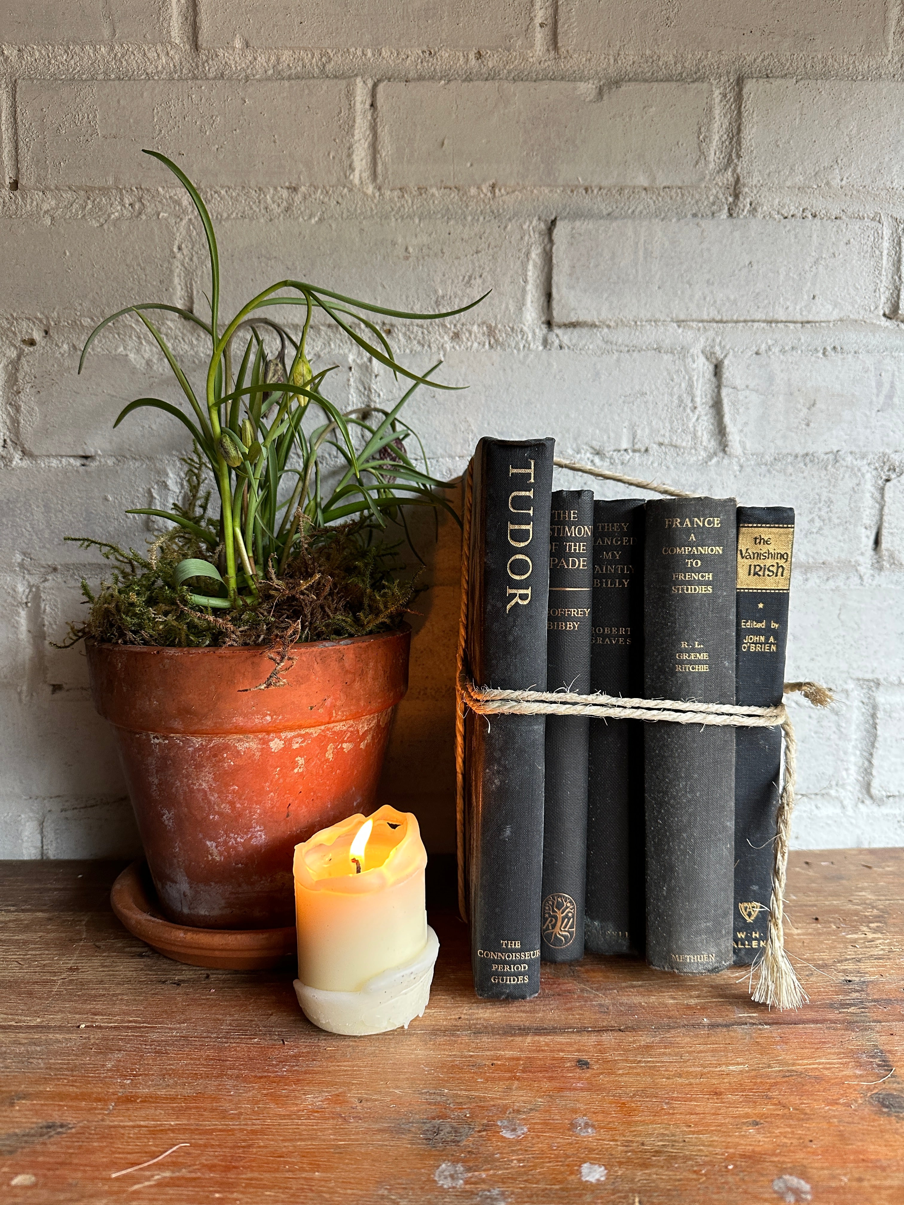 Off-Black Book Bundle