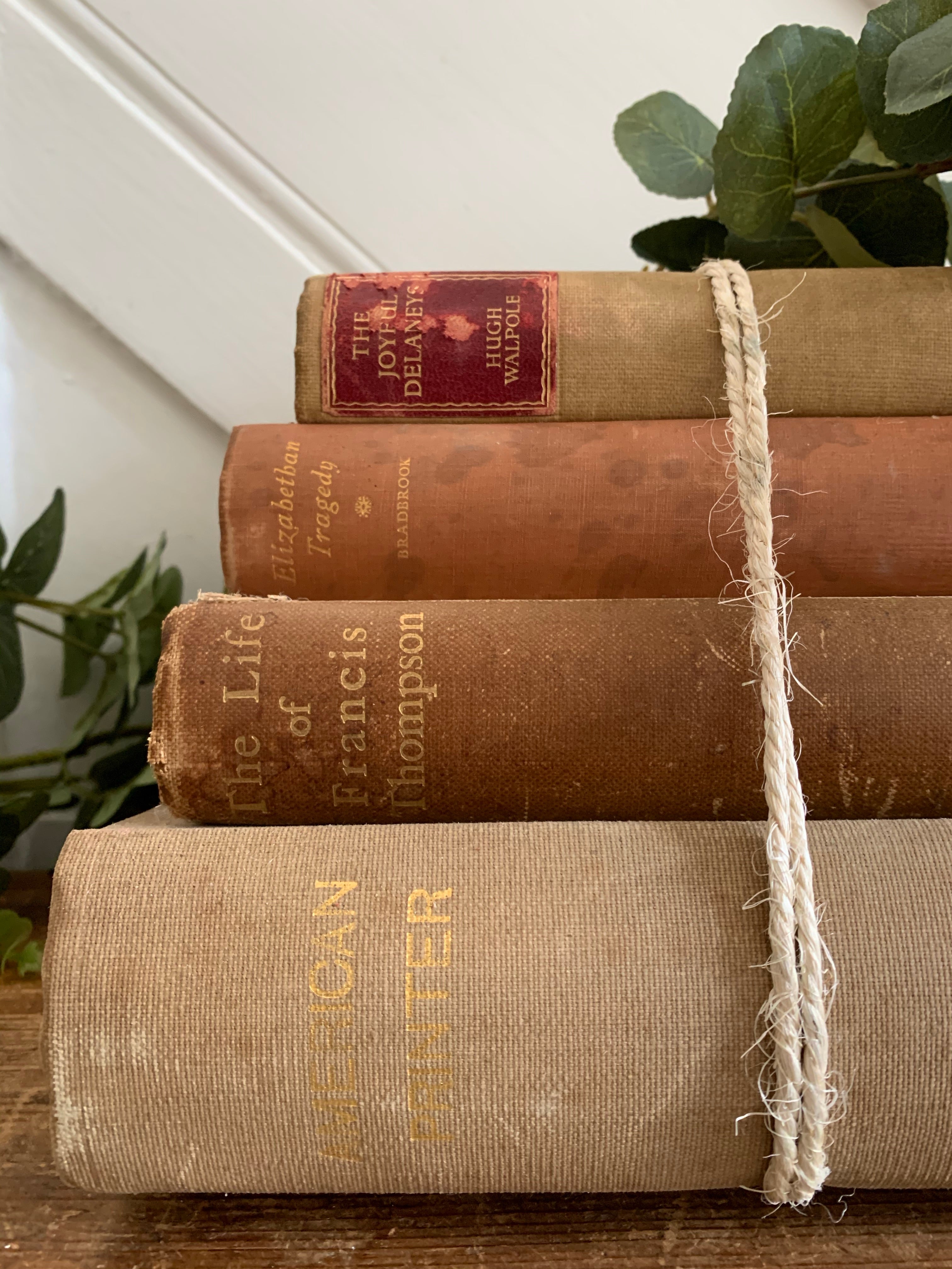Beige Book Bundle 1