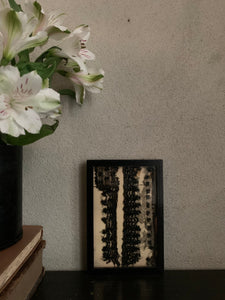 Framed 19th Century Jet Lace Fragment