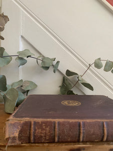 Old Leather Book: The World at Home