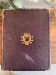 Old Leather Book: The World at Home