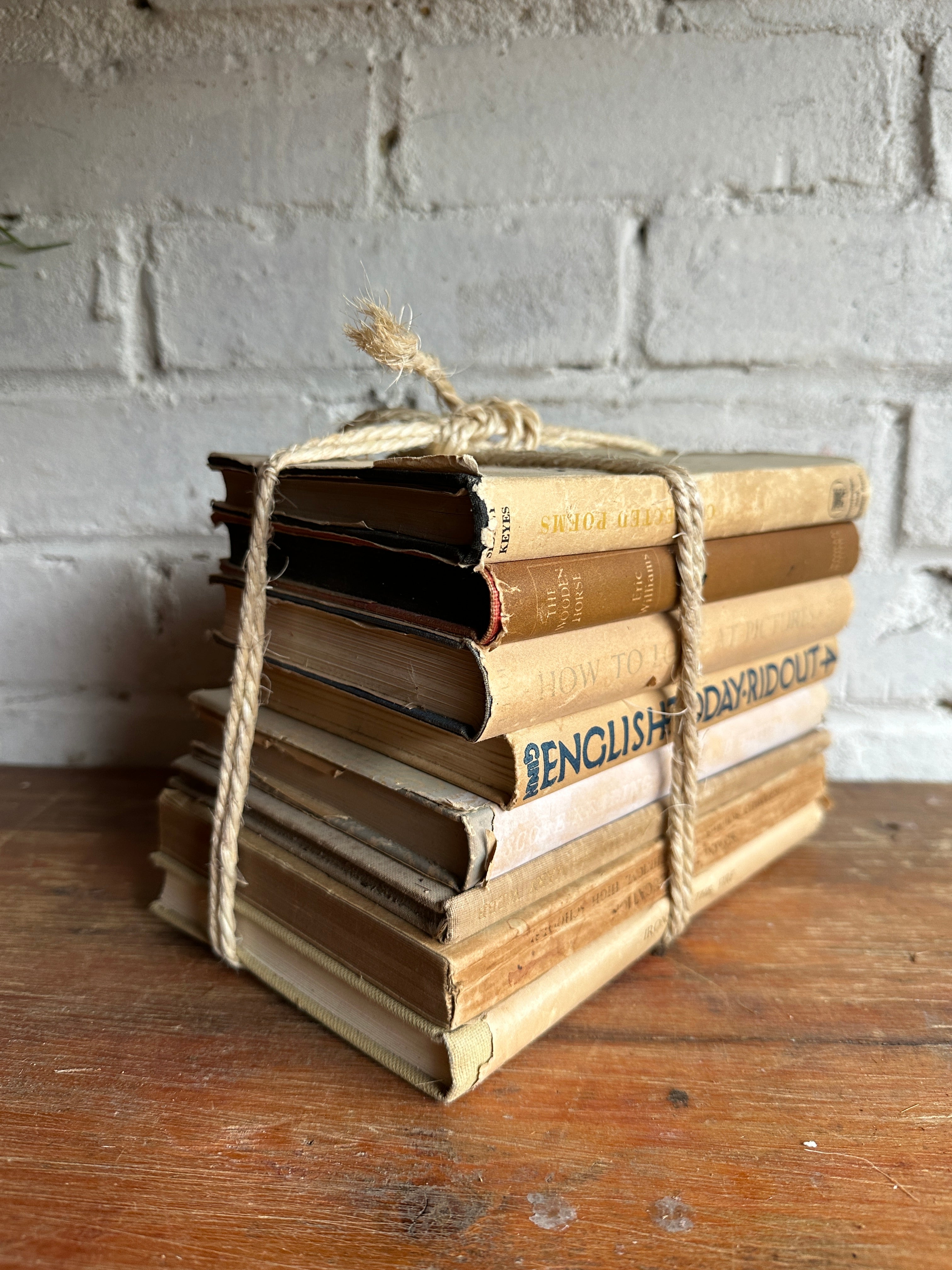 Beige Book Bundle