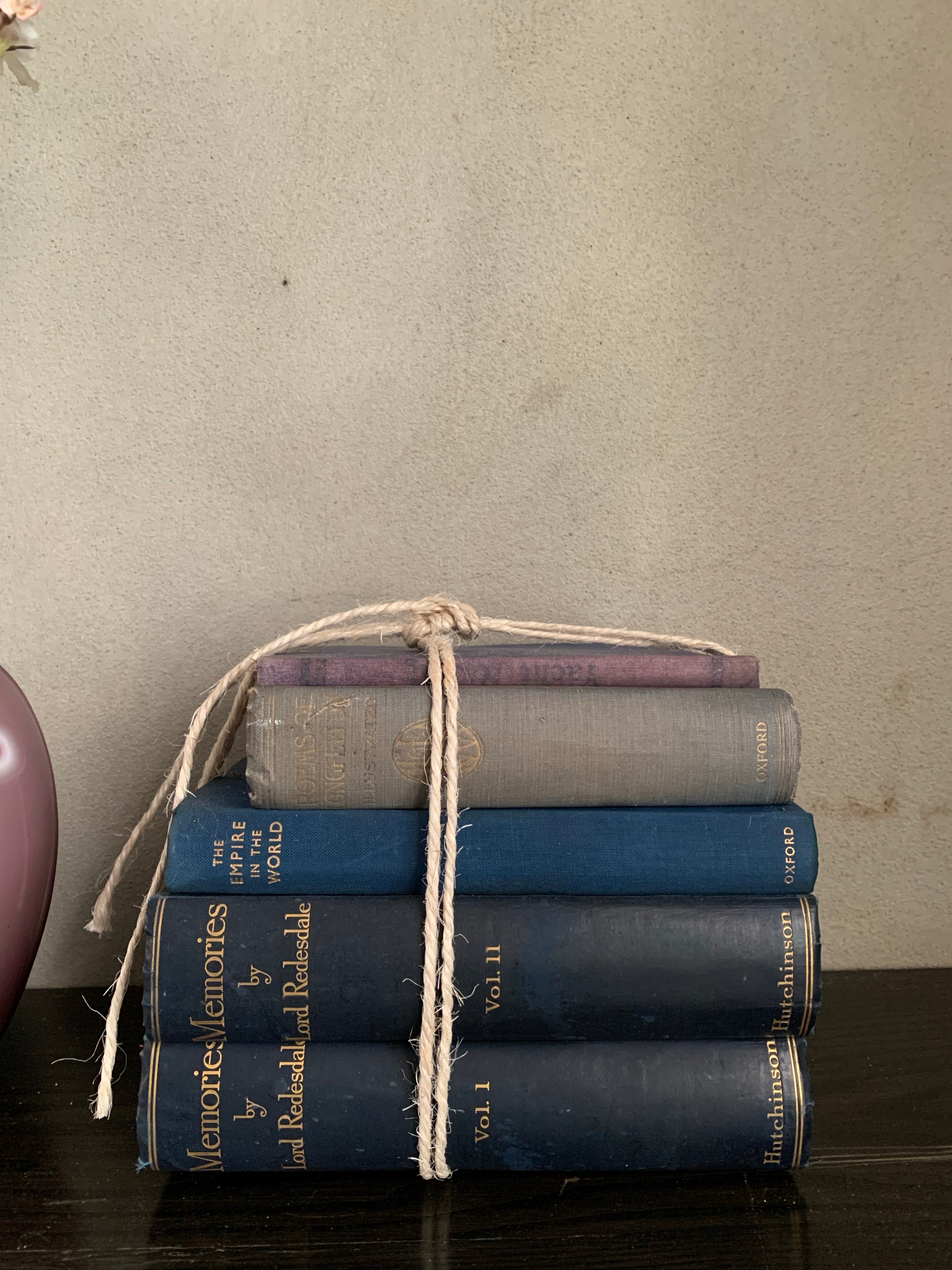 Blue Hues Book Bundle