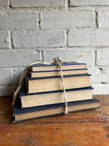 Blue Book Bundle