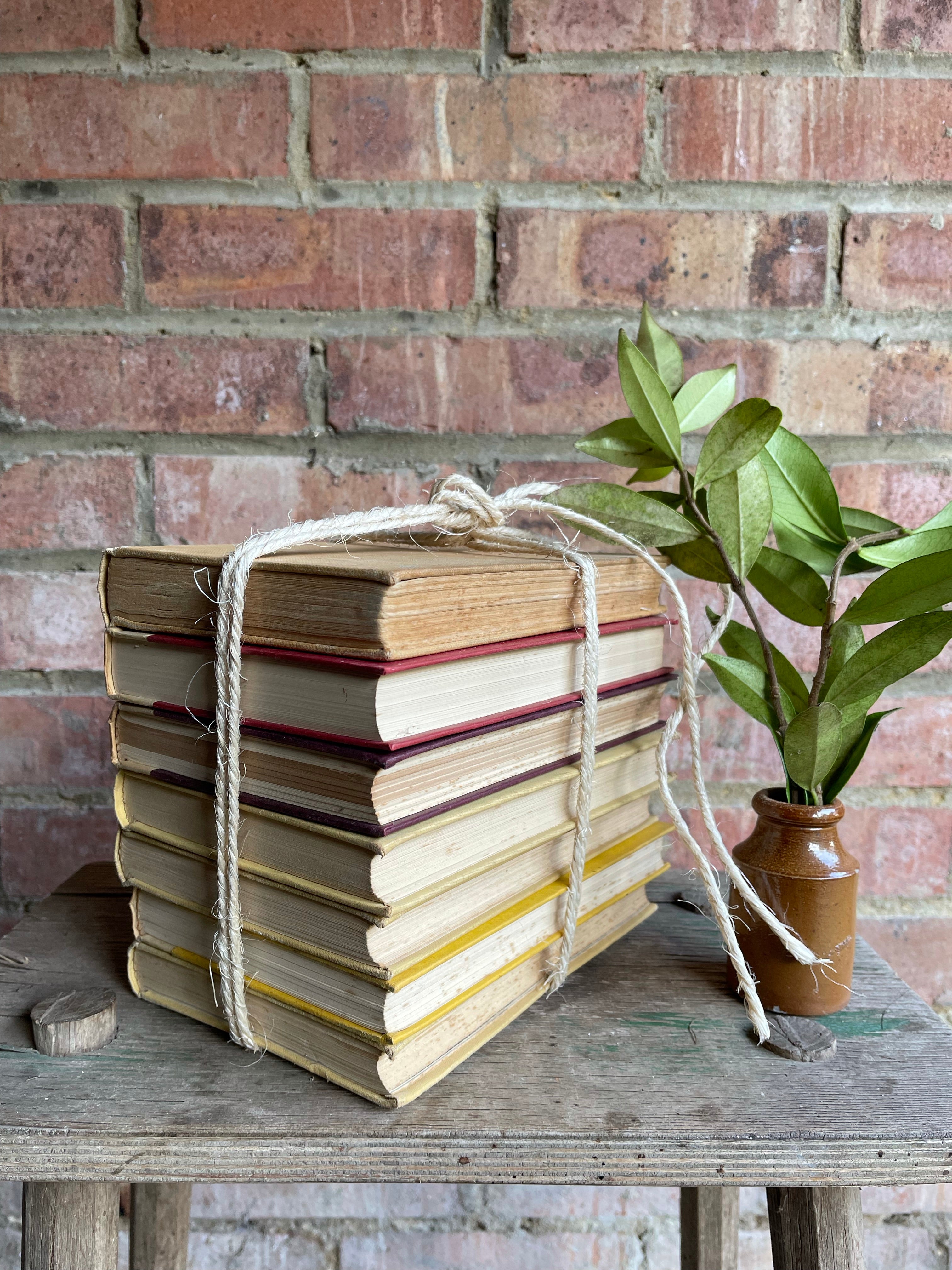 Vintage Neutral/Yellow Book Bundle