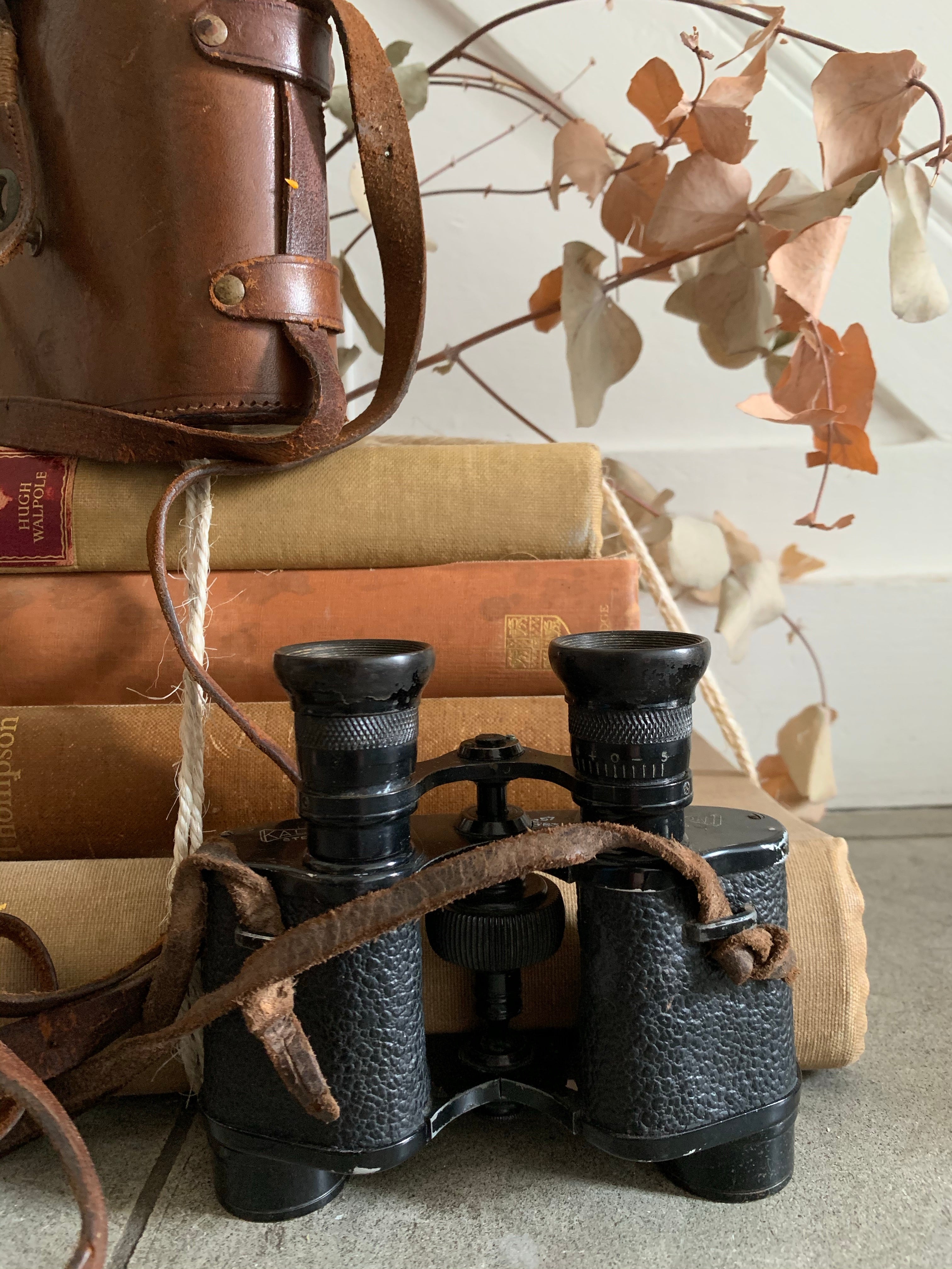 Vintage binoculars with original box