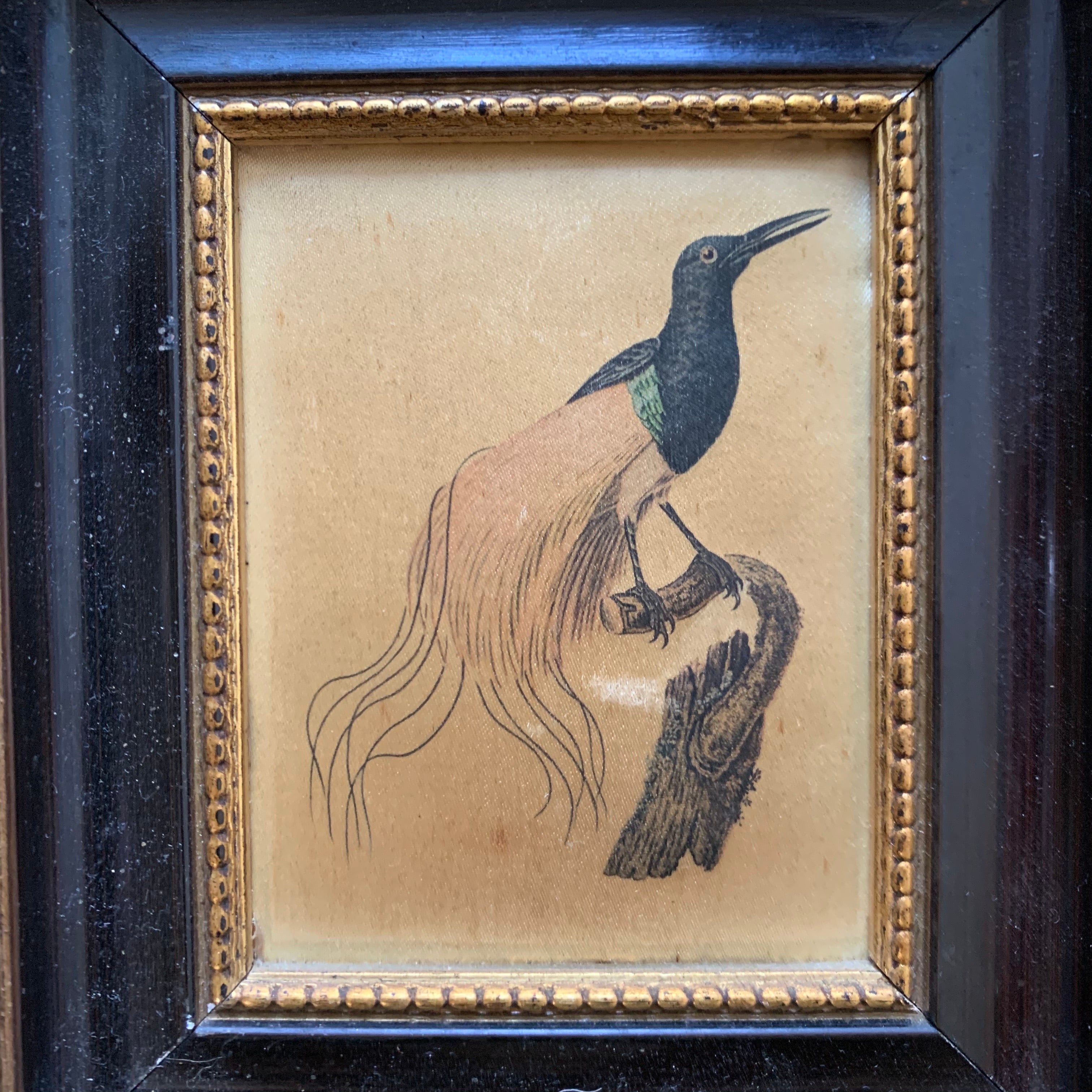 Pair of Teeny Antique Silk Paintings of Birds