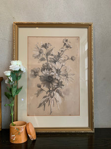 Antique Pencil Drawing of Botanical Flowers