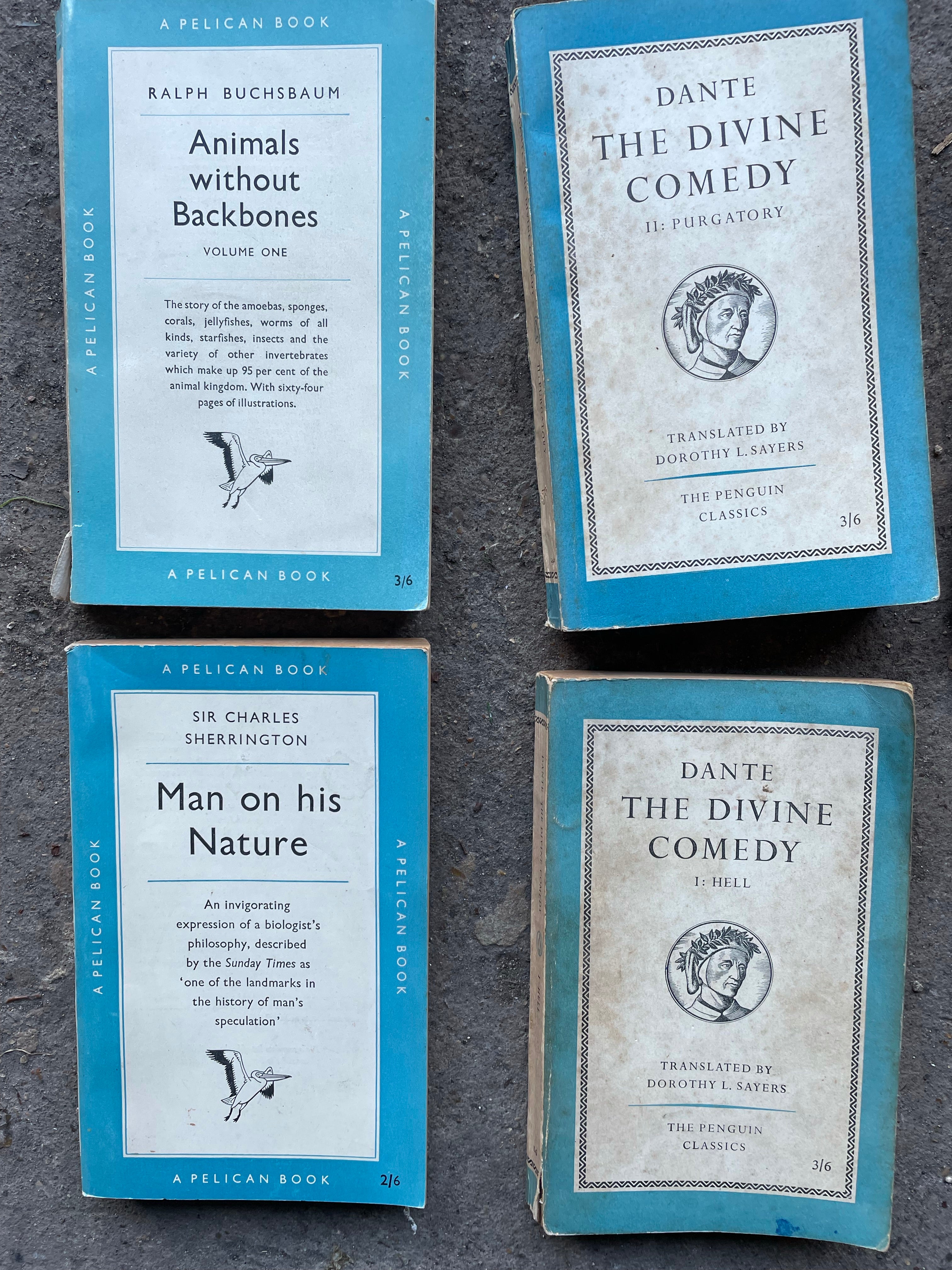 Set of Seven Penguin Books in Turquoise Hues