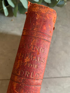 1950s Animal Encyclopaedia with Leather Spine