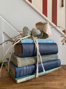 Blue Book Bundle 2