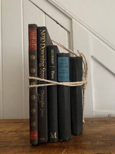 Black Hues Book Bundle